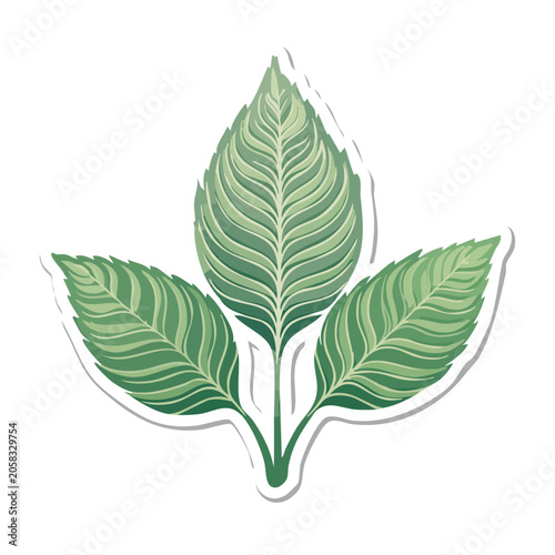 Three Green Leaves Illustration on Transparent Background