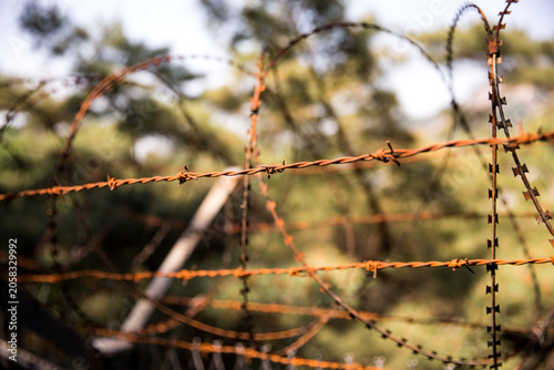 Fotografie The barbed wire of the division of Korea