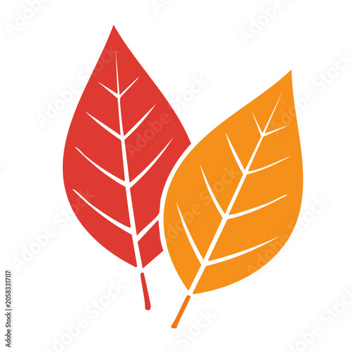 Split maple leaf vector icon
