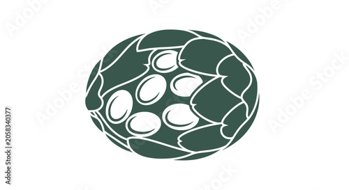 Bild auf Leinwand Dark green stylized artichoke vegetable cross-section graphic