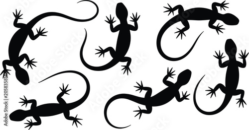 Collection of seven black silhouettes of lizards in various poses on white background reptile animal