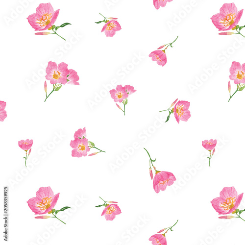 Foto Watercolor Pink Evening Primrose Floral Seamless Pattern with Scattered Flower S