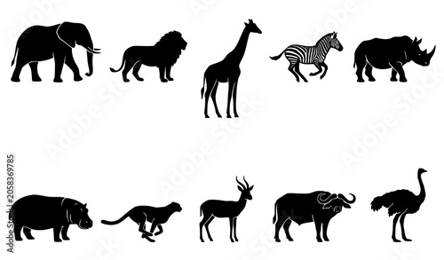 Photography Diverse African savanna wildlife silhouette collection featuring zoo animals and