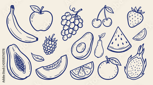 Vászonkép Collection of handdrawn delicious fruits and berries sketched in blue ink on a l