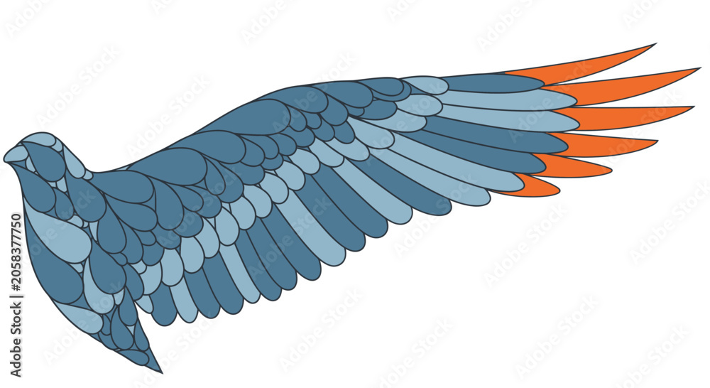 Fototapeta premium Blue bird wing with orange accent feathers.