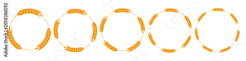 Wheat wreath vector circular frames for logo, border set. Empty, copy space, isolated on transparent background. Branding, packaging.