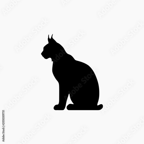 Photography black cat on a white background