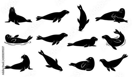Konstfotografi Black seal silhouette collection featuring realistic ocean mammals in natural aq