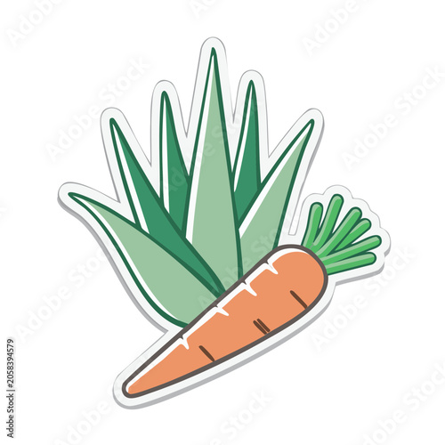 Flat Design Carrot with Green Leaves Isolated on Transparent