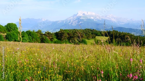 Summer meadow and mountains on horizon. Grande Tete de L'Obiou, Dauphine Prealps in Alps, department of Isere in France Europe.
