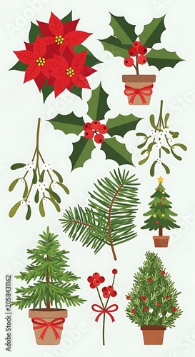 Festive Christmas Botanical Elements Arranged on Light Background