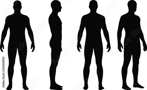 Human Body Silhouettes Collection, Male Figure Anatomy Set, Vector Illustration, Male Body Outline Bundle, Standing Human Silhouette Collection Vector Design