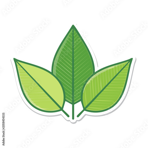 Three Green Leaves Flat Vector Icon