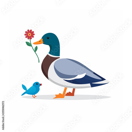 Flat design illustration of mallard duck and blue bird with flower