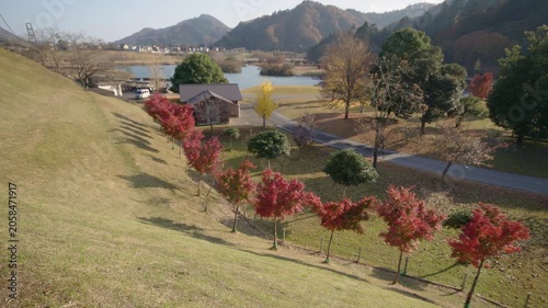 秋の宮ヶ瀬湖畔園地 紅葉 Autumn foliage at Miyagase Lakeside Park