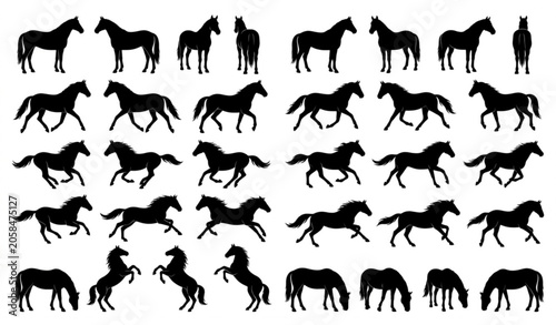 Konstfotografi Horse silhouette vector collection fully editable isolated on white background