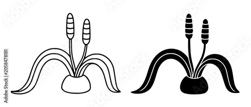Photos Welwitschia illustration, minimalist outline and silhouette icon