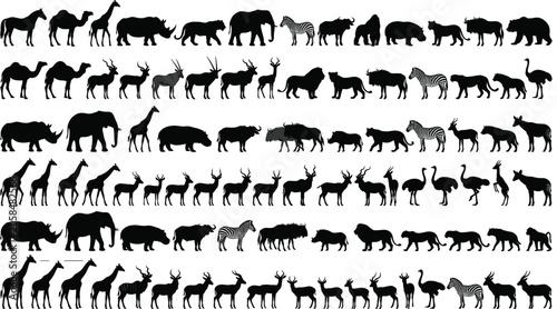 Photography Wild animal silhouettes featuring elephants, giraffes, lions, camels, zebras, an
