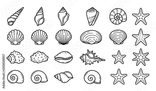 Minimal seashell and starfish outline doodle set with hand drawn coastal sketch elements for ocean design vector collection