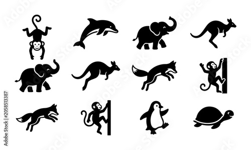 Photography Animal Silhouettes Collection: Monkey, Dolphin, Elephant, Kangaroo, Fox, Penguin