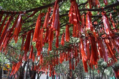 Wish ribbon in Vietnam (Suối Tiên Theme Park, Ho Chi Minh City)