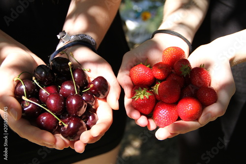 Handvoll Kirschen und Erdbeeren