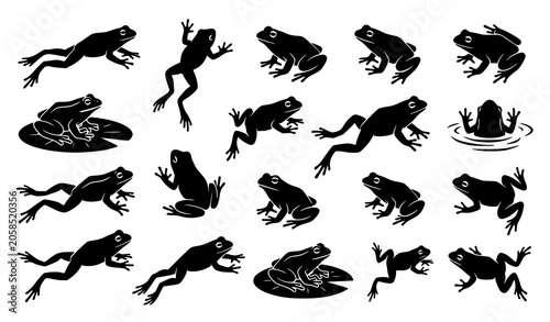 Canvas-taulu Dynamic frog silhouette collection vector illustration featuring amphibian wildl