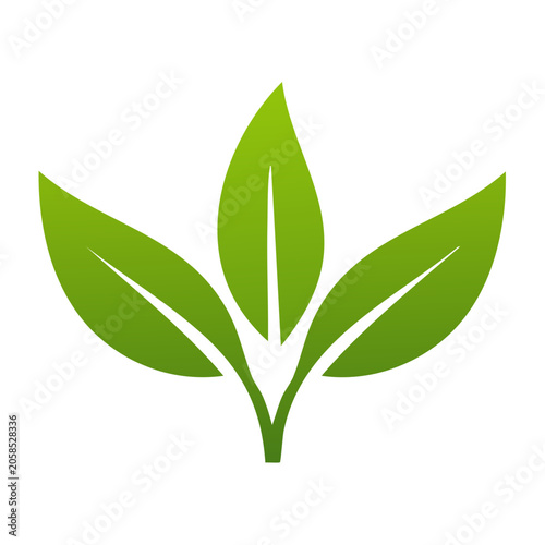 Green Leaf Icon with Transparent Background
