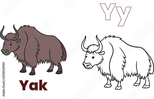 A to Z Wildlife Illustration Coloring Page for Children - Latter - Y