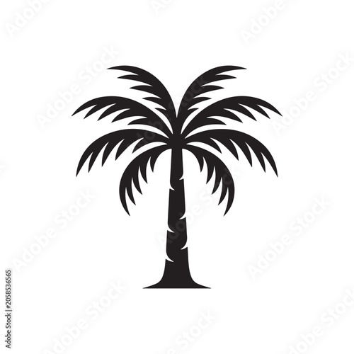 Black silhouette of a tropical palm tree with large fronds, isolated on a white background, flat for nature and travel