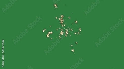 A green screen with white background and hole in the middle an image of spider on small bunch flowers animated chromakey background motion cartoonish frame depth elements backgrounds