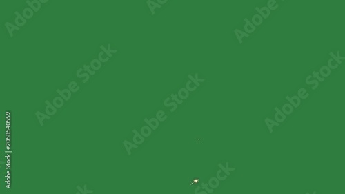A green screen with white background and firework on it an image of map spider fire in the middle japan animated chromakey background gesture scene layers illustration motion colorful
