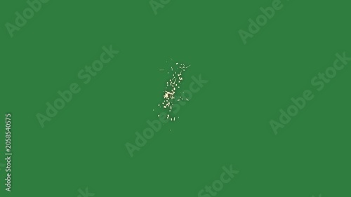 A green screen with small bird on it and object in the middle an image of horse white background hole animated chromakey background creative elements movement backgrounds gesture figure