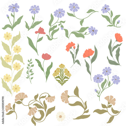 Foto Lilac flowers, sunny yellow inflorescences, coral and orange buds, muted beige sepals and green