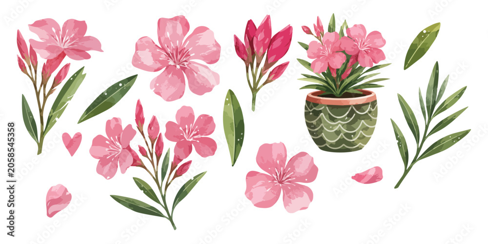 Obraz premium Watercolor pink oleander flowers and leaves clipart 