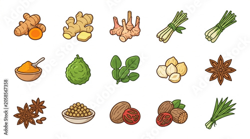 Collection of Fresh Asian Spices and Herbs Ingredients.