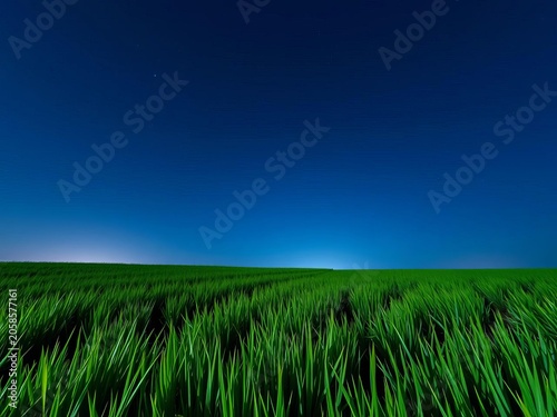 Lush green grass stretches towards the horizon as a deep blue night sky towers above, sky, stars