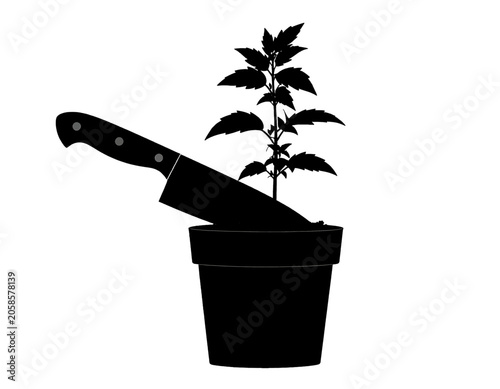 Foto A sharp blade pierces a growing plant in a pot