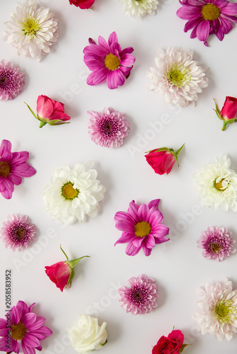 Colorful summer flower background.