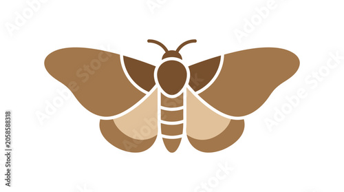 Konstfotografi Brown Moth Insect Animal Illustration.