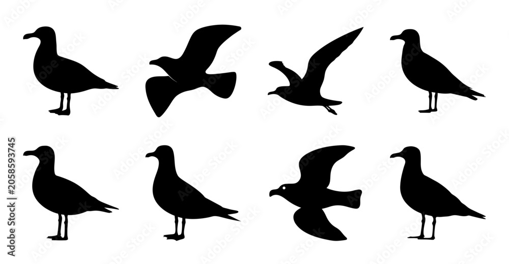 Obraz premium Black silhouette birds in different flight poses - Eight stylish black silhouette birds shown in various flight and standing poses, perfect for nature or design projects.