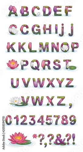 Colorful Water Lily Alphabet Letters and Numbers Arranged on White Background