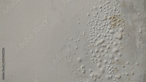 Billede på lærred "Close-up of bubbling and blistered paint on a damp wall surface