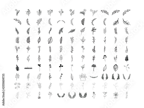 Botanical Foliage Sprigs and Floral Elements Vector Bundle