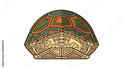 Fotografie Colorful turtle shell closeup view.