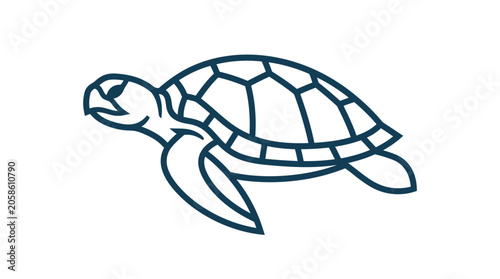Photography Turtle swimming in the ocean water.