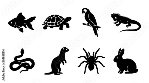 Canvas Print Diverse Pet and Exotic Animal Silhouettes, Vector Icons Set: Goldfish, Turtle, P