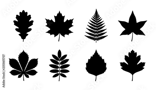 Foto Botanical Leaf Silhouettes Collection: Oak, Maple, Fern, Horse Chestnut, Rowan,