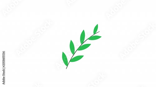 Branch Leaf Animation 4K Alpha Channel Seamless Loop Motion Graphic