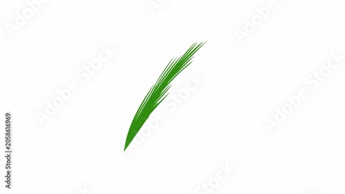 Grass Leaf Animation 4K Alpha Channel Seamless Loop Motion Graphic